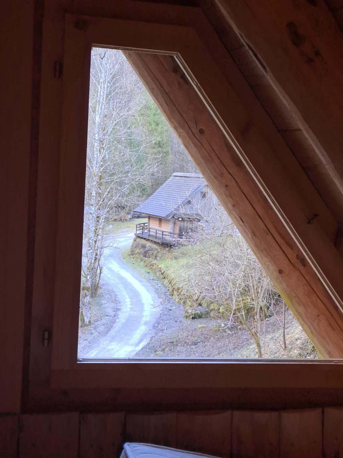 Brunnbach Natur
